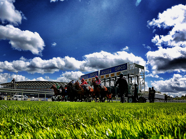 Ascot is one of the many racecourses staging Saturday action